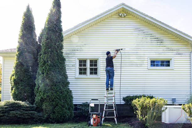 Best Graffiti Removal Services in Shepherdsville, KY